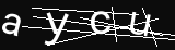 verifycode